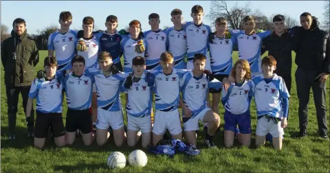  ??  ?? The South Leinster title-winning Meanscoil Gharman team.