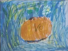  ??  ?? Planet Ve is orange, has water and has trees. Ellie Rose Namba, kindergart­en, TISA
Emilio Martinez,