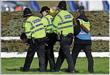  ?? ?? HURDLE: Protester is seized after Animal Rising delayed the 2023 Grand National
