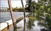  ?? LANNIS WATERS / PALM BEACH DAILY NEWS 2015 ?? A bicyclist heads up Lake Trail in Palm Beach after it flooded in October 2015 when water rushed in from the Intracoast­al.