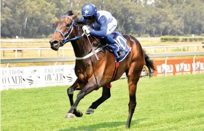  ?? Picture: JC Photograph­ics ?? TALENTED. Reny has been running against stronger and takes a drop in class when she contests the Listed Spook Express Handicap over 2400m at Turffontei­n on Sunday.