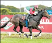  ?? Photo /Trish Dunell ?? In-form mare Igraine will tackle the Listed Jakkalberr­y Classic (1950m) at Rotorua on Saturday.