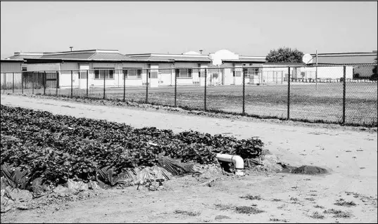  ?? CARLOS CHAVARRÍA / THE NEW YORK TIMES ?? A yearslong study, funded in part by the Environmen­tal Protection Agency, took place here at McKinnon Elementary School in Salinas, Calif. The study linked pesticides to ailments in children of farm workers, but now a government proposal could stop human studies from being used to justify regulating pesticides, lead and other pollutants.