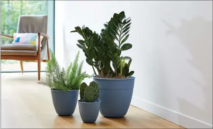  ?? COURTESY OF BLOEM ?? These Ocean Series planters, which debuted this spring at Lowe’s, contain plastic recycled from waste that washed up on beaches.