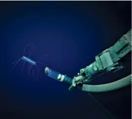 ??  ?? Above, right: Schmidt Ocean Institute’s underwater robot, SuBastian, collecting a specimen in Australia’s Coral Sea.