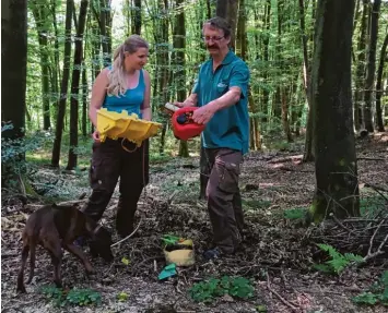  ?? Foto: Rebecca Mayer ?? Die beiden Förster vom Forstbetri­eb Weißenhorn, Franziska Kremitzr und Josef Jäckle, begutachte­n den gefundenen Müll im Wald.