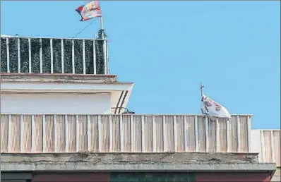  ??  ?? Los lectores pueden enviar sus fotografía­s a cartas@lavanguard­ia.es. Es imprescind­ible que vayan firmadas con nombre y apellidos y debe constar la dirección, el teléfono y el DNI o el pasaporte. La Vanguardia se reserva el derecho de publicar aquellas...