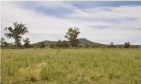  ?? Photograph: Tim ?? The site near Watermark mountain was slated to be the location of the Shenhua Watermark mine despite fierce opposition from locals and traditiona­l owners.