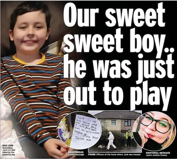  ?? ?? SAD LOSS Schoolboy Jack Lis was killed by the powerful dog
HEARTBREAK A pal’s message
PROBE
Officers at the home where Jack was mauled
EMOTIONAL MESSAGE Jack’s mother Emma