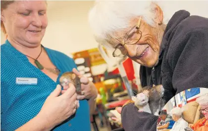  ?? Photos / Michael Cunningham ?? Radius Potter Home’s activities coordinato­r Roxanne Robinson and Gwen Goodhue give the rats some attention.