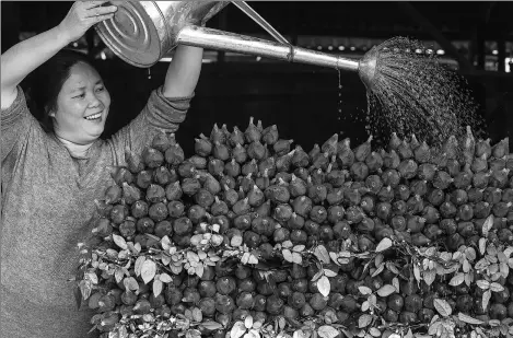  ?? PROVIDED TO CHINA DAILY ?? A flower grower at Datian village in Guangzhou, Guangdong province, waters roses on sale in her shop.