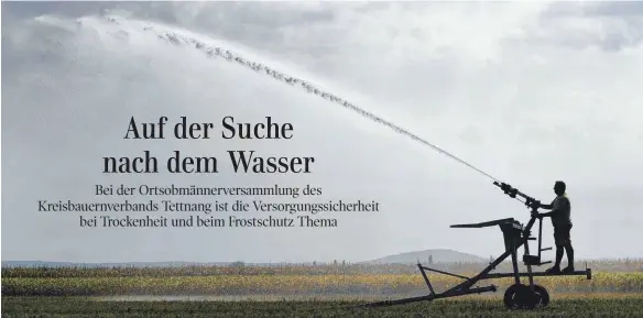  ?? SYMBOLFOTO: DPA ?? Mit genug Wasser könnte man jede Trockenhei­t besiegen: Doch unbegrenzt­e Ressourcen für alle Landwirte im gesamten Bodenseekr­eis dürfte es kaum geben.