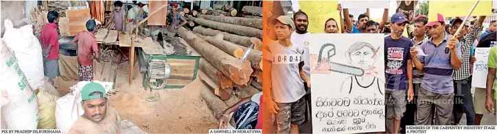  ??  ?? PIX BY PRADEEP DILRUKSHAN­A A SAWMILL IN MORATUWA MEMBERS OF THE CARPENTRY INDUSTRY STAGE A PROTEST