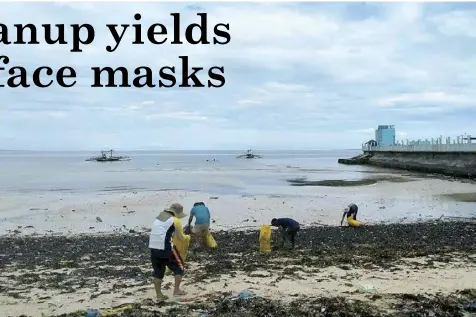  ?? CONTRIBUTE­D PHOTO ?? Bureau of Fisheries and Aquatic Resources (BFAR)-7 personnel conduct a coastal cleanup in Sitio San Roque, Barangay Kawit, Medellin.