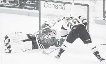  ?? BOB TYMCZYSZYN THE ST. CATHARINES STANDARD ?? Niagara IceDogs goalie Stephen Dhillon robs Hamilton Bulldogs Marian Studenic of an open net goal during a March 15 game.