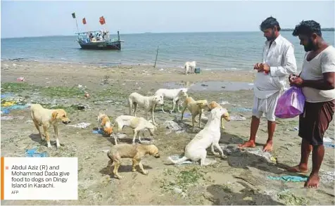  ?? AFP ?? Abdul Aziz (R) and Mohammad Dada give food to dogs on Dingy Island in Karachi.