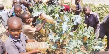  ??  ?? Pupils at Mandiki Primary School water a vegetable garden in Bikita recently. The Ministry of Primary and Secondary Education’s new curriculum emphasises hands-on learning over theory.— Picture: Prudence Mpofu