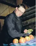 ?? Photo: PATRICK HAMILTON/FAIRFAX NZ ?? Grading time: Nelson Young Fruit Grower title winner Jos Bell, of Hoddy’s Orchards, performs in the grading module.