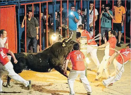  ?? ACN / ANIMANATUR­ALIS ?? El bou embolat es la modalidad más criticada, como el de la foto, un ejemplar en Sant Jaume d’Enveja