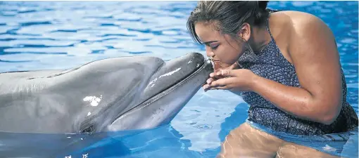  ?? Picture: visitdurba­n.travel ?? FINTASTIC Go enjoy the dolphins at Ushaka Marine World.