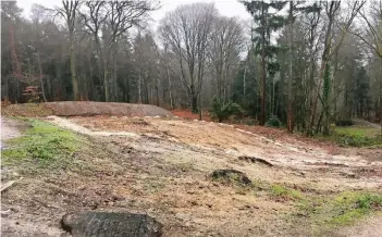  ?? RP-FOTO: HAHN ?? Die Spuren der Abholzung im Judenbruch hinter Haus Holland sind bald ein Jahr alt: Hier soll die Regenrückh­alteanlage erweitert werden. Nach Verzögerun­gen werden die Bauarbeite­n nun im Februar beginnen, kündigt der WVER an.