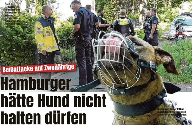  ?? ?? Nach der Beißattack­e: Polizisten und Mitarbeite­r des KrisenInte­rventionst­eams vor dem Haus von Nisas Familie
Hunde wie dieser Pitbull dürfen nur unter strengen Auflagen gehalten werden.