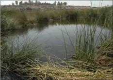  ?? JOSELITO VILLERO PHOTO ?? The Brawley Wetland, near the Cattle Call area, provides recreation­al activities such as hunting, fishing, bird watching, hiking and family outings.