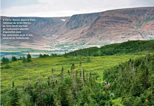  ??  ?? A Terre-Neuve, dans lle Parc nattiional­l du Gros-Morne,, lla vertte fforêtt boréalle de Tuckamore pllanttée d’’épiinetttt­es jjoue lles conttrastt­es avec lle siitte miinérall de Tabllellan­ds..