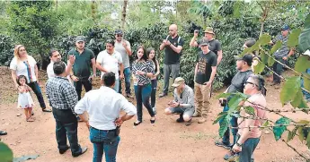  ?? FOTO: EL HERALDO ?? Los jueces visitaron las fincas de Santa Bárbara para conocer el proceso de producción del caóé.