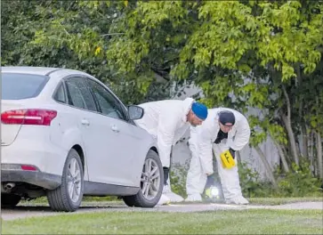  ?? Heywood Yu Canadian Press ?? CANADIAN INVESTIGAT­ORS examine the scene of a stabbing in Weldon, Saskatchew­an, on Sunday. Ten people were killed and 18 injured in a series of attacks in an Indigenous community and a nearby town.