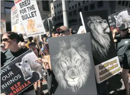 ??  ?? Animal rights activists during an anticanned lion protest on Saturday.