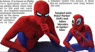  ??  ?? Tangled web: Peter Parker (left) and Miles Morales in SpiderMan