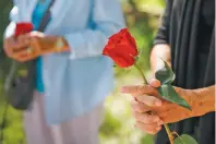  ??  ?? Kathryn Holladay holds a rose while standing with a group praying and rememberin­g Tuesday the people killed in two August mass shootings.