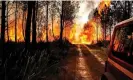  ?? ?? A wildfire near Landiras, south-western France. Photograph: AP