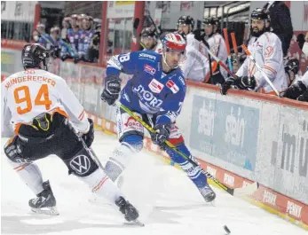  ?? FOTO: DIETER REINHARDT ?? Das erste Heimspiel in der Verzahnung­srunde mit dem Norden ist für die Wild Wings ein voller Erfolg.