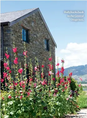  ??  ?? Hollyhocks bask in the Central Otago sun.