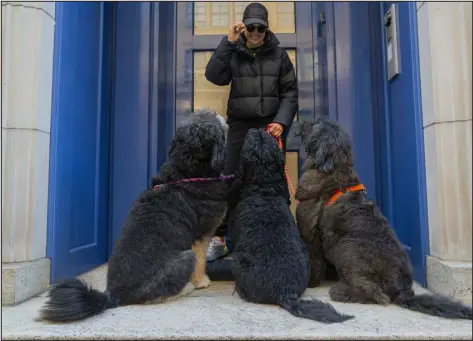  ?? CALLA KESSLER — THE NEW YORK TIMES ?? Bethany Lane, founder of Whistle & Wag, a dog walking service in Manhattan, N. Y., on Jan. 16. It is a lucrative time to be a dog walker, especially for pet entreprene­urs who cater to the wealthy.