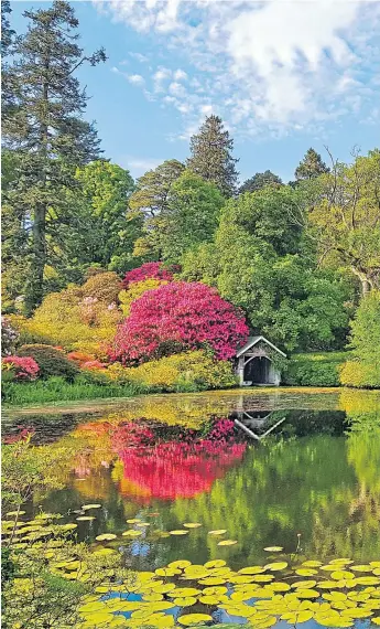  ??  ?? All the hard work at Bargany Estate in Ayrshire has been worth it, revealing the garden as it was intended to be seen, as these spectacula­r images show