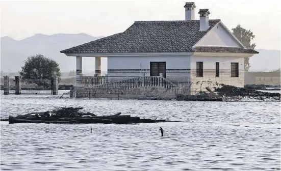 ?? Foto: CBN-Archiv ?? Plötzlich ist das Haus eine Insel. Starkregen richtet enorme Schäden an, aber man kann Häuser auf Unwetter vorbereite­n.