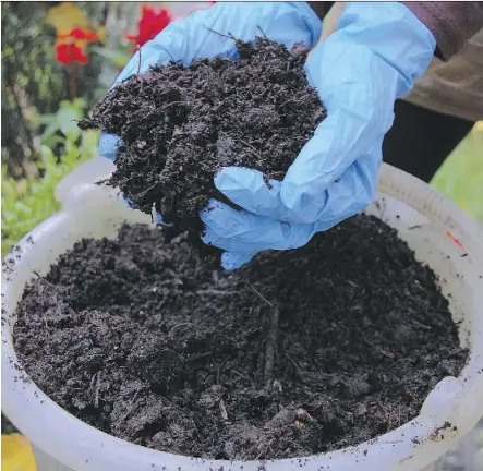  ??  ?? Add some compost or manure to refresh the tired soil in your mature flower beds.