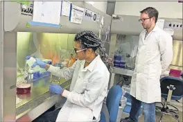  ?? [TERENCE CHEA/THE ASSOCIATED PRESS] ?? Lab automation engineer Chigozie Nri, left, prepares nutrients to feed cells, as research director Nicholas Legendre watches, in the laboratory of New Age Meats, which has produced cell-based pork in San Francisco. A growing number of startups worldwide are making meat that doesn’t require slaughteri­ng animals.