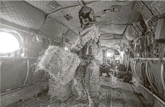  ?? Michael Ciaglo / Houston Chronicle ?? Texas Army National Guard Staff Sgt. Jeff Knoles moves a bale of hay to the back of a Chinook helicopter Tuesday to feed cattle stranded by Tropical Storm Harvey.