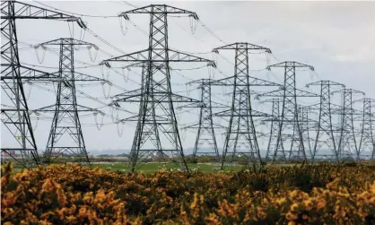  ?? Photograph: Gareth Fuller/PA ?? A report from the NAO found companies that run Britain’s regional electricit­y grids received extra profits because the regulator overestima­ted the cost of upgrading their networks by using out of date financial informatio­n.