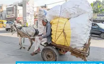  ??  ?? PUNJAB: A man transports sacks of empty plastic bottles on a horse-drawn cart in Amritsar yesterday. —AFP