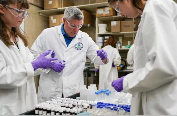  ?? JOSHUA A. BICKEL — THE ASSOCIATED PRESS ?? Eric Kleiner, center, sorts samples for experiment­ation as part of drinking water and PFAS research at the U.S. Environmen­tal Protection Agency Center For Environmen­tal Solutions and Emergency Response Feb. 16 in Cincinnati. The EPA is expected to propose restrictio­ns on harmful “forever chemicals” in drinking water after finding they are dangerous in amounts so small as to be undetectab­le, but experts say removing them will cost billions.