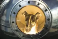  ??  ?? MLADEN ANTONOV/AFP/GETTY IMAGES A picture taken on November 1 shows an effigy of the dog Laika, the first living creature in space, inside a replica of satellite Sputnik II at the Central House of Aviation and Cosmonauti­cs in Moscow. Three and a half...