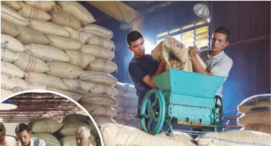  ??  ?? Los estudiante­s CARLOS COVALEDA y SANTIAGO SEPúLVEDA junto a su profesor ISNARDO RIVERA convierten los desechos
que deja el proceso del café en leños ecológicos.