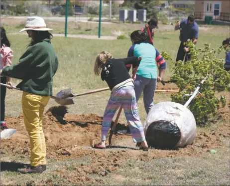  ?? COURTESY PHOTO ?? The Taos Tree Board and the Taos Main Street Program are inviting the community to celebrate Arbor Day on Saturday (April 30) from 10 a.m. to 2 p.m. at Kit Carson Park.