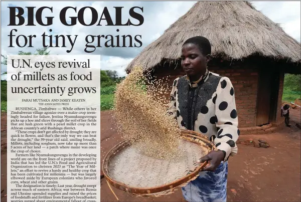  ?? (AP/Tsvangiray­i Mukwazhi) ?? Maria Chagwena, a millet farmer, winnows millet on a bamboo mat Jan. 18 in Zimbabwe’s arid Rushinga district.