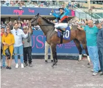  ??  ?? Papa Y (10), en el circulo de ganadores, con sus propietari­os y el entrenador Juan Carlos Avila, luego de su triunfo sorpresivo.